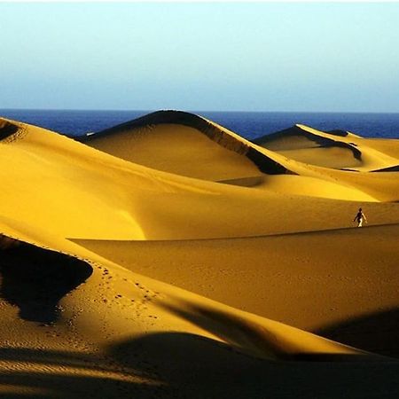 شقة Caribe 530 بلايا ديل إنغلز المظهر الخارجي الصورة